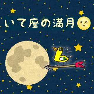 �y�����z�t�����[���[���ƃ^���b�g�̃T���l�C���摜