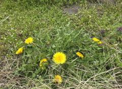 �S��3���@�^���̃T���l�C���摜