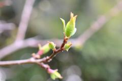 �J���̊J�^�A�N�V�����̃T���l�C���摜