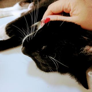 ���̌���̃T���l�C���摜