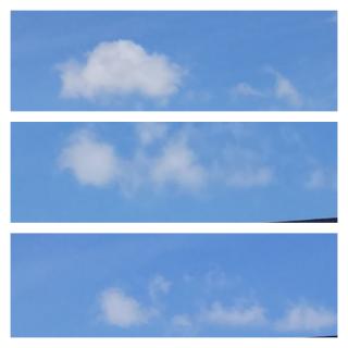 �_�����̃T���l�C���摜