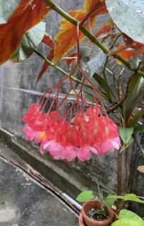 ��������7�����̃T���l�C���摜