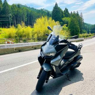 lyރRcII(*LցM*)̃TlC摜