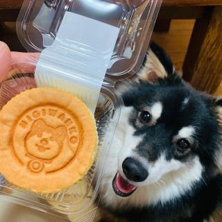 �����������������Ƒ��̃T���l�C���摜