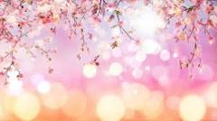 �S���Ɍ����ẴT���l�C���摜