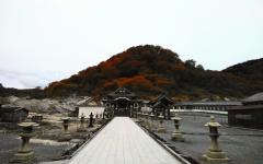 ���R�ŖS�����̐��𕷂��̃T���l�C���摜