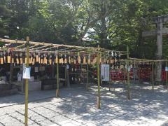 �V��10���@�����^�̃T���l�C���摜