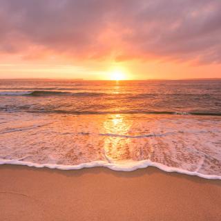 �V�����閾���̃T���l�C���摜