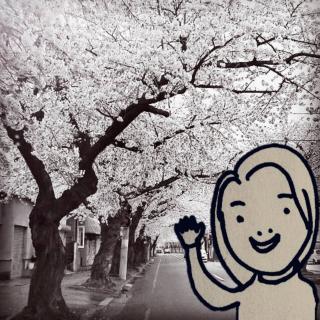 ��ō炭�u�򉻂̉ԁv�̃T���l�C���摜