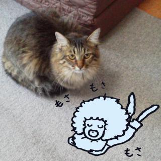 ���芴����K�v�ȃw�A�P�A�̃T���l�C���摜