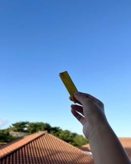 �`�W���͂��o����̞x�`�̃T���l�C���摜