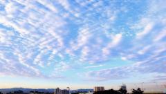 �S�����₩�ł���Ƃ̃T���l�C���摜