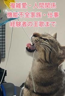 �O����_���Ȃ��납��R4.2.9���̂̃T���l�C���摜