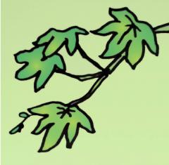 ���̈�����Ɣ[���@���̂R�̃T���l�C���摜