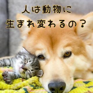 �l�͓����ɐ��܂�ς��́H �̃T���l�C���摜