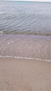 �J���I�P�̏\���Ԃ���܂����H�̃T���l�C���摜