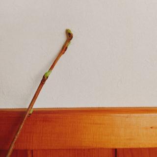 �}����������ɂ��}���̃T���l�C���摜