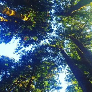 �V�t�g�ύX�̂��m�点�ł��̃T���l�C���摜