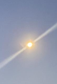 �������������܂���`�I�̃T���l�C���摜