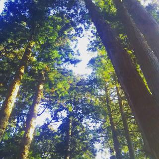 ���t���ς���Ă��܂��I�̃T���l�C���摜