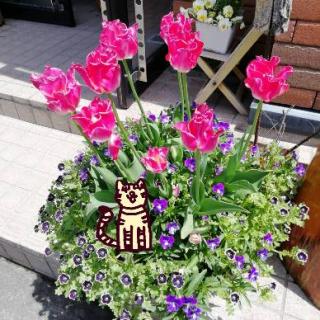 �f�̗��V�[�Y���Q�̃T���l�C���摜