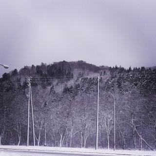 ��R�ł���̃T���l�C���摜