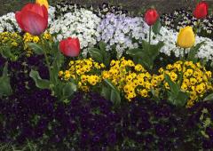 �S��16���@�^���̃T���l�C���摜