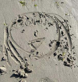 ���������������̃T���l�C���摜