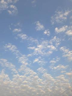 �W��1���@�����^�̃T���l�C���摜