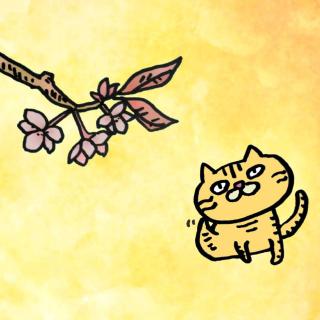 ̓̃TlC摜