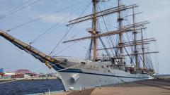 ���{�ۂ̃T���l�C���摜