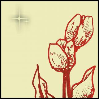 �Ԃ�����ΐS�͕�������(*�L���M*)�̃T���l�C���摜