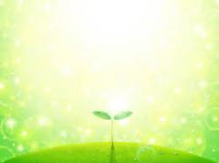 ��_�W�H��k�Ђւ̒����̎v�������߂ẴT���l�C���摜