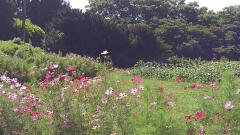 �󕶌ɂ̃T���l�C���摜