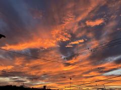 �Ўv���E�E���������I�̃T���l�C���摜