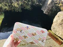 [�쐅]�_�C���h�鐅�̃T���l�C���摜