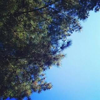 �R���̃��C�I����ǂ݂܂����̃T���l�C���摜