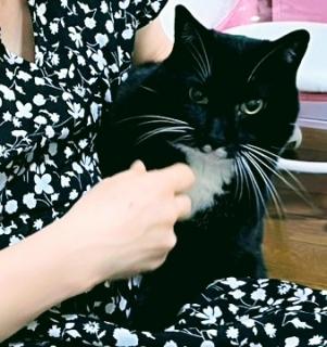 ���̂��Ƃ̃T���l�C���摜