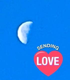 �ꗱ���{���͌���NG.5.25���̂̃T���l�C���摜