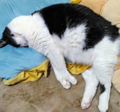 �S�̒��ɂ��鏝�̃T���l�C���摜