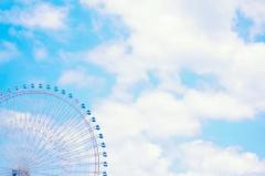 w̓LNo.19̃TlC摜