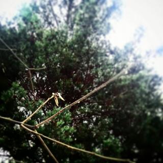 �R���r�j�̖ʔ��������X������̘b�B�̃T���l�C���摜