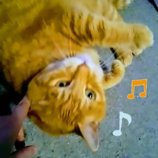 ���킢�����ƔL(�*�U�քU)� �̃T���l�C���摜