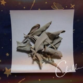 �z���C�g�Z�[�W��ׂĂ݂��̃T���l�C���摜