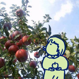 �H�ƌ����΃����S���̃T���l�C���摜