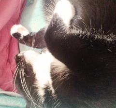 �G�߂��ς�镗�����Ȃ��ɐ����̃T���l�C���摜