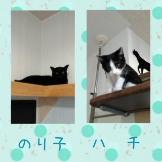 �L�肢�y7���㔼�z �̃T���l�C���摜