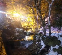 2��27���A28���̉^���̃T���l�C���摜