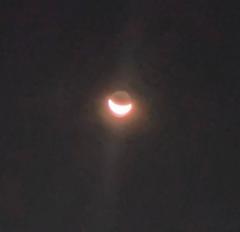 �������܂̖��@�̓��̃T���l�C���摜