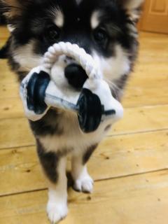 �t�̑̂Â�����n�߂悤�̃T���l�C���摜